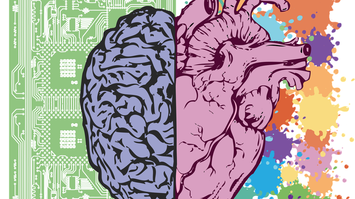 7 Conceitos de Projetos de Ciência sobre Anatomia e Fisiologia que Você Precisa Conhecer