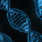 As 10 Melhores Coletâneas de Ensaios sobre Biologia Evolutiva