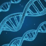 As 5 Melhores Métodos de Pesquisa em Fenotipagem de DNA na Ciência Forense