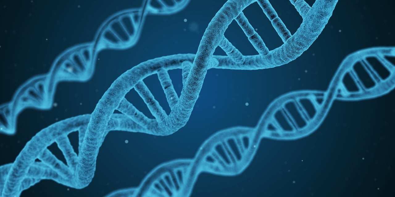 As 5 Melhores Métodos de Pesquisa em Fenotipagem de DNA na Ciência Forense