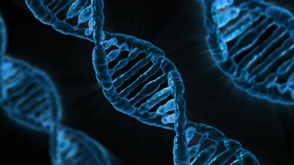 As 8 Maiores Descobertas em Biologia que Revolucionaram a Medicina Moderna