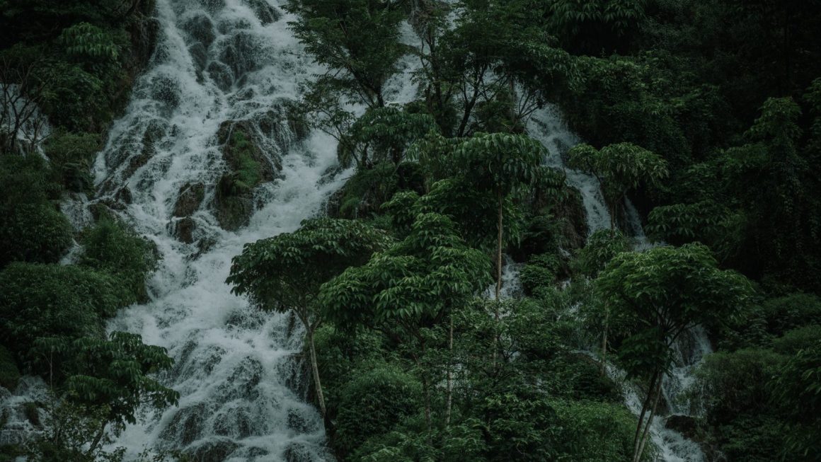 As 8 Melhores Expedições de Caminhadas em Cachoeiras na Selva Tropical