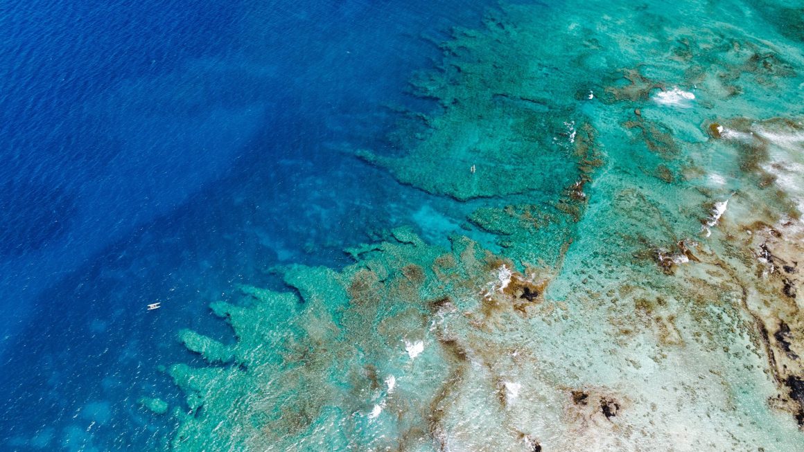 As 8 Melhores Experiências de Snorkeling e Tours em Lagoas nas Ilhas do Pacífico