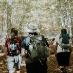As 8 Melhores Redes de Trilhas para Caminhadas Solo com Caminhos Bem Marcados