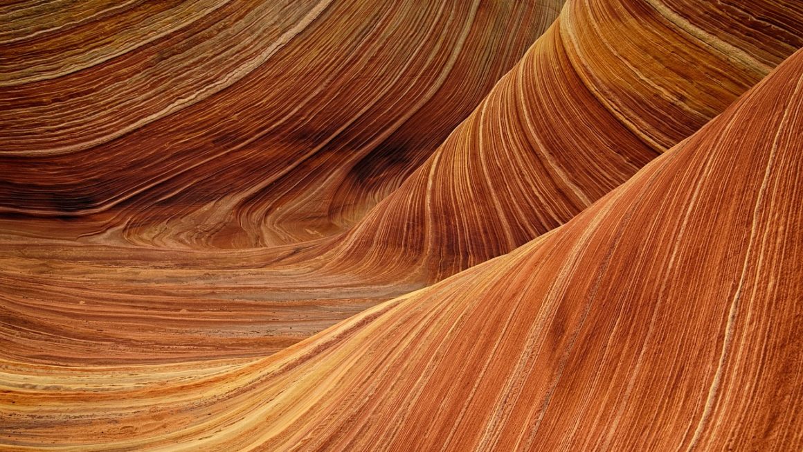 Os 10 Melhores Construtores Interativos de Colunas Estratigráficas em Geologia