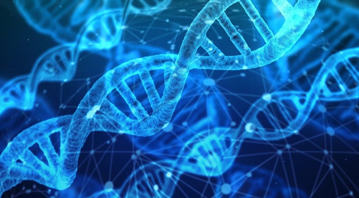 Os 10 Melhores Estudos em Genética Microbiana e Replicação de DNA
