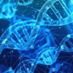 Os 10 Melhores Estudos em Genética Microbiana e Replicação de DNA
