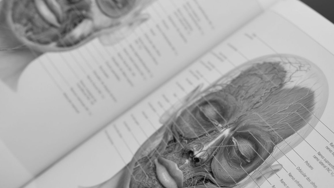 Os 10 Melhores Livros de Comunicação Científica para Leitores Gerais