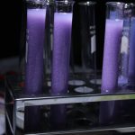 Os 5 Melhores Projetos de Feira de Ciências Ambientais para Testar a Pureza da Água