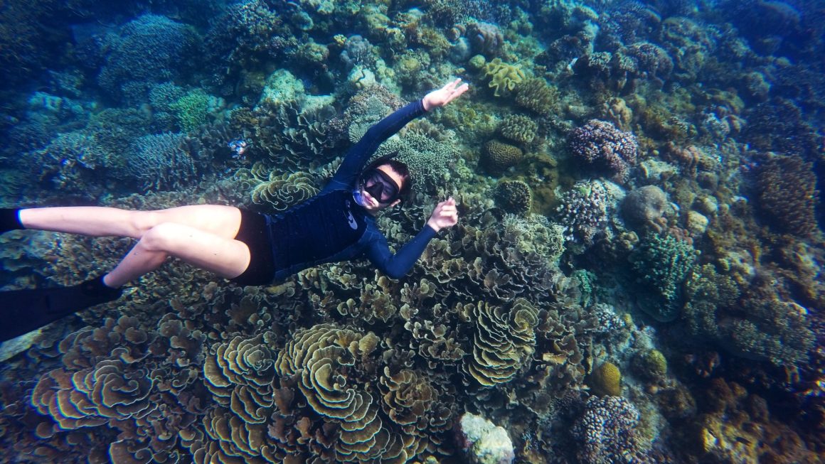 Os 6 Melhores Parques Marinhos para Mergulho com Snorkel em Recifes de Coral
