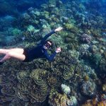 Os 6 Melhores Parques Marinhos para Mergulho com Snorkel em Recifes de Coral