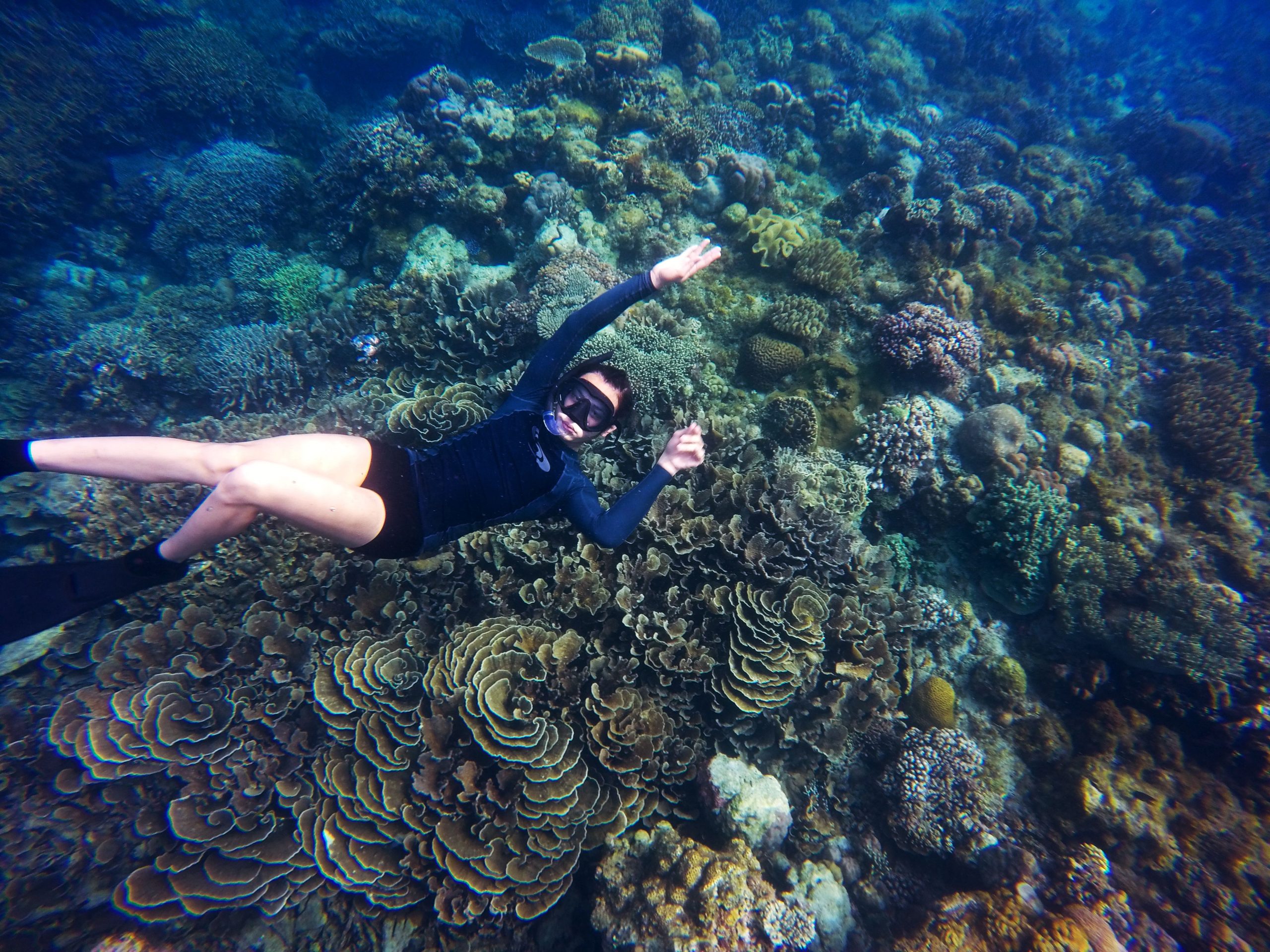 Os 6 Melhores Parques Marinhos para Mergulho com Snorkel em Recifes de Coral