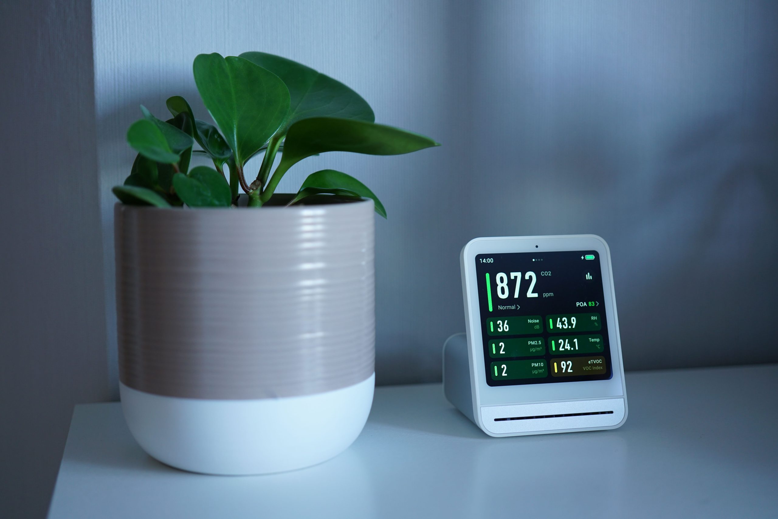 Os 7 Melhores Monitores de Plantas Inteligentes que Avisam Quando Regar suas Plantas