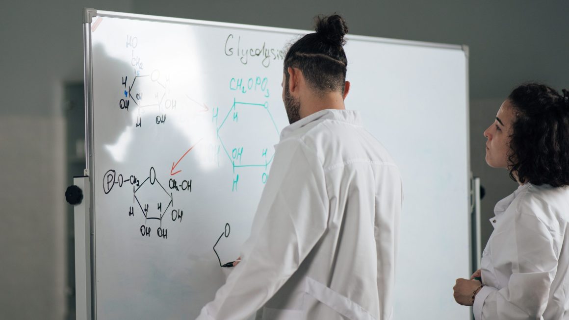 Os 8 Melhores Mapas de Vias Metabólicas em Bioquímica Explicados