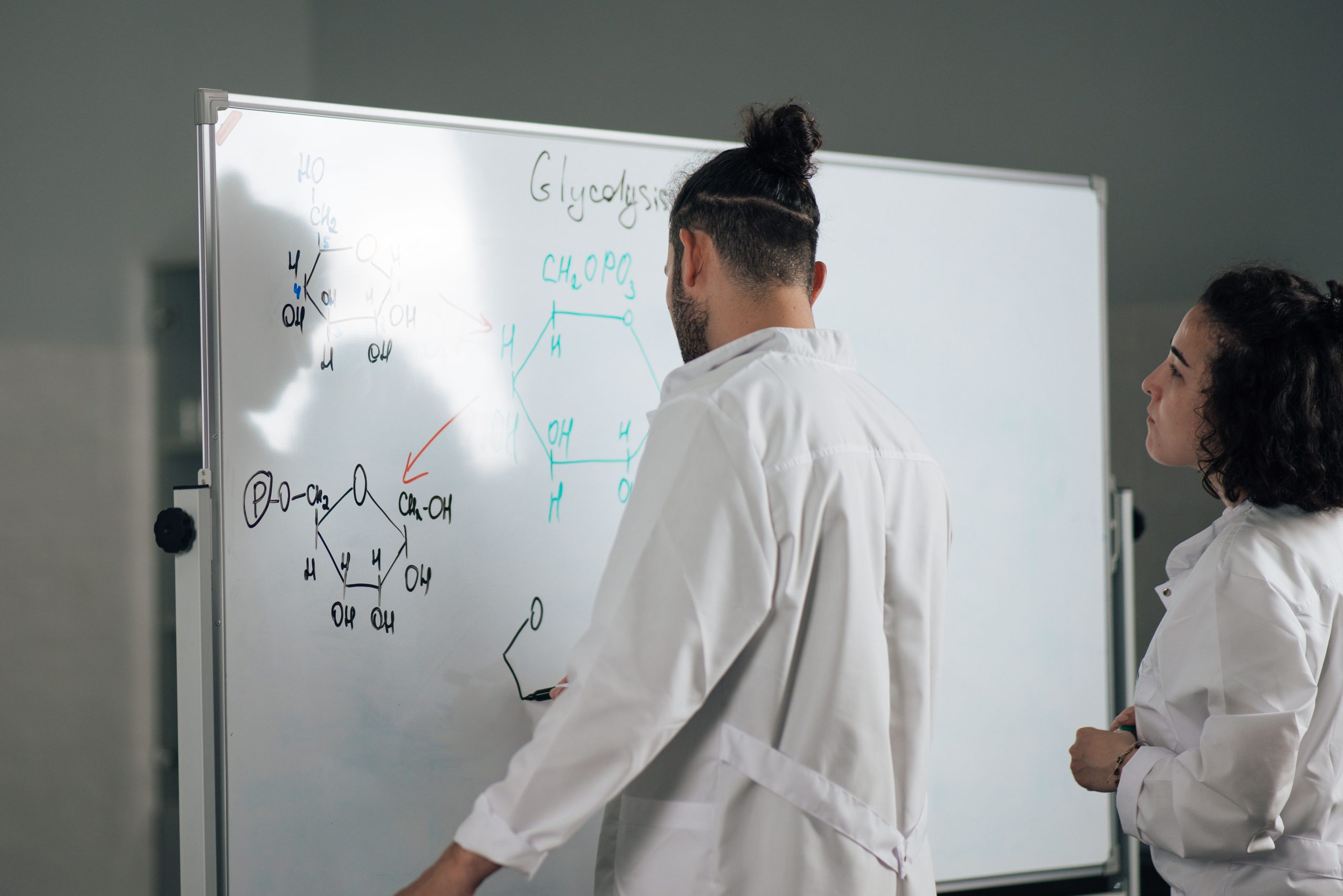 Os 8 Melhores Mapas de Vias Metabólicas em Bioquímica Explicados