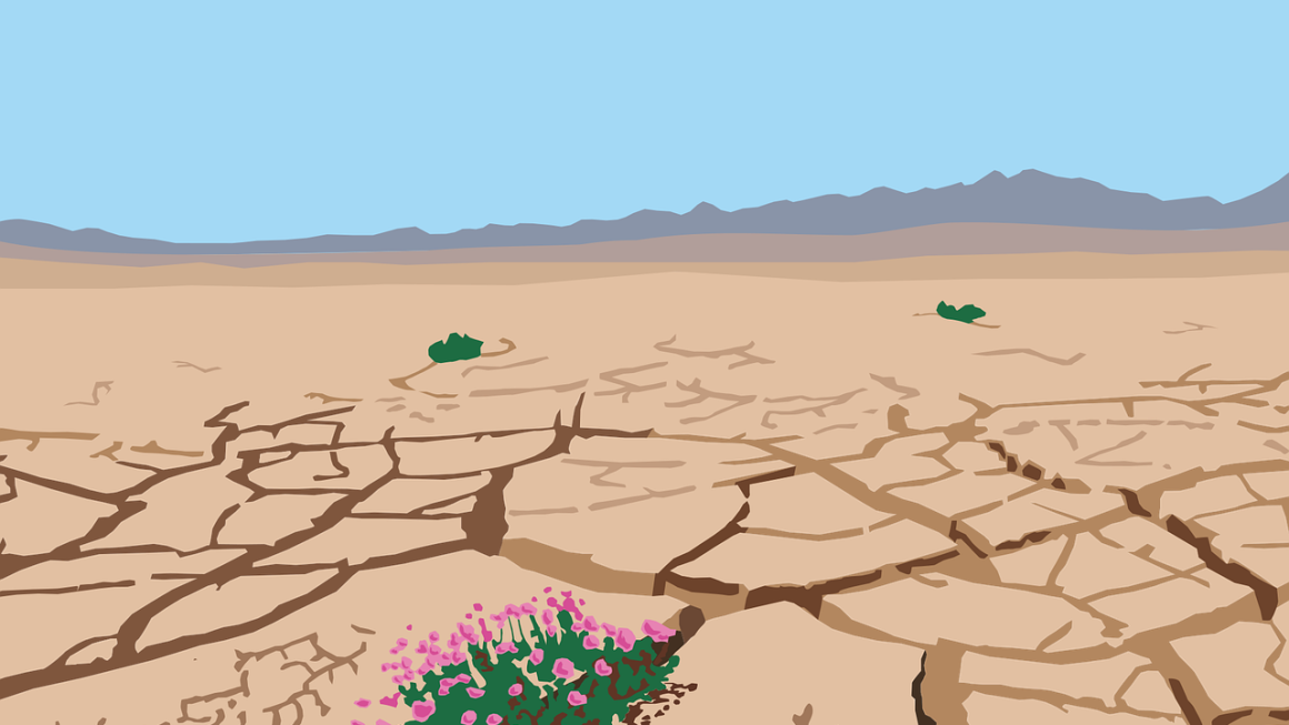 Os 6 Melhores Jogos de Construção e Sobrevivência com Ambientes Destruíveis