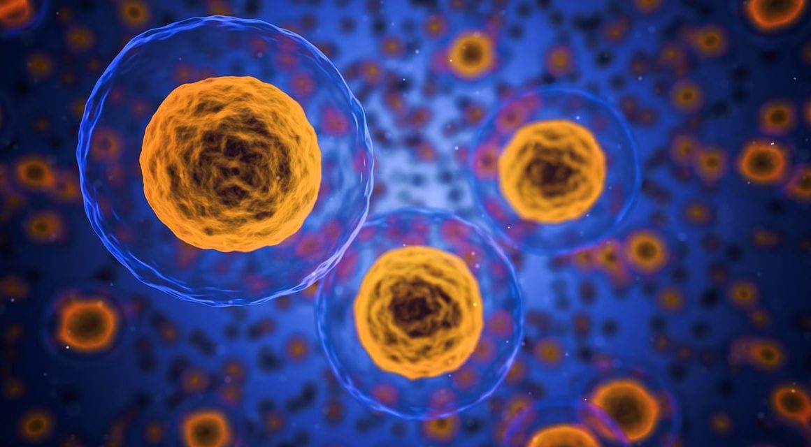 Os 7 Principais Processos de Biologia Celular que Impulsionam o Crescimento dos Organismos