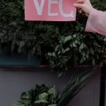Pexels