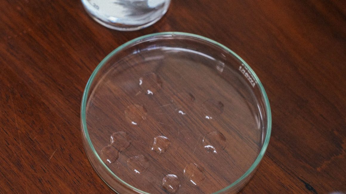 Top 5 Experimentos Científicos sobre Conservação de Água Para Fazer em Casa