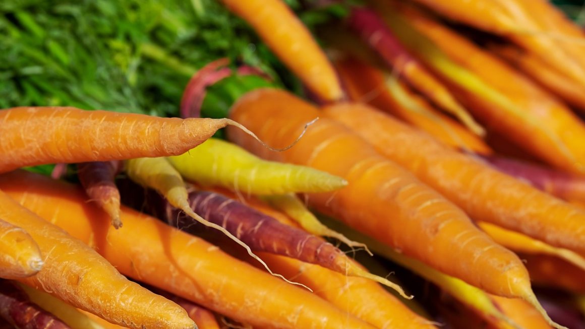As 6 Melhores Práticas de Coleta na Primavera para Verduras Silvestres Frescas